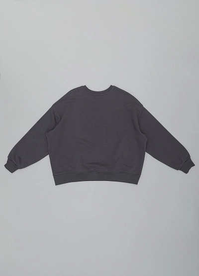 SPORT свитшот Thomas Graf фото № 2 цена