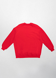 SPORT свитшот Thomas Graf фото № 2 цена