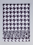 Шарф BB Accessories фото № 2 цена