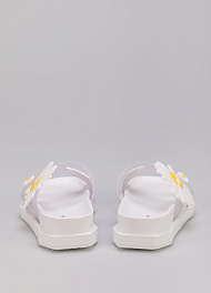 Сланцы Keddo фото № 4 Казахстан