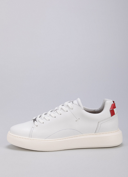 Кеды Ambitious фото № 1 интернет-магазин